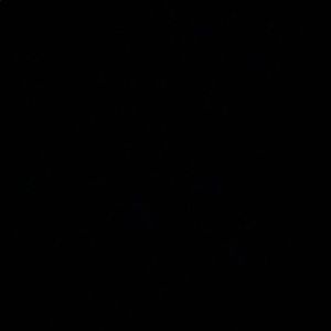 Meet your Posher, Mackenzie